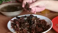 Cara Menggoreng Belut Agar Tidak Meletup, Hasilnya Renyah Sempurna dan Aman di Dapur
