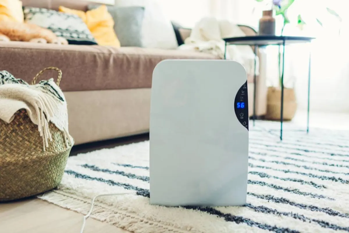 Rekomendasi Dehumidifer Terbaik agar Rumah Terasa Lebih Fresh dan Anti Pengap