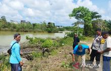 Kapolres Imbau Warga Waspada Serangan Buaya Bangka Barat di Permukiman