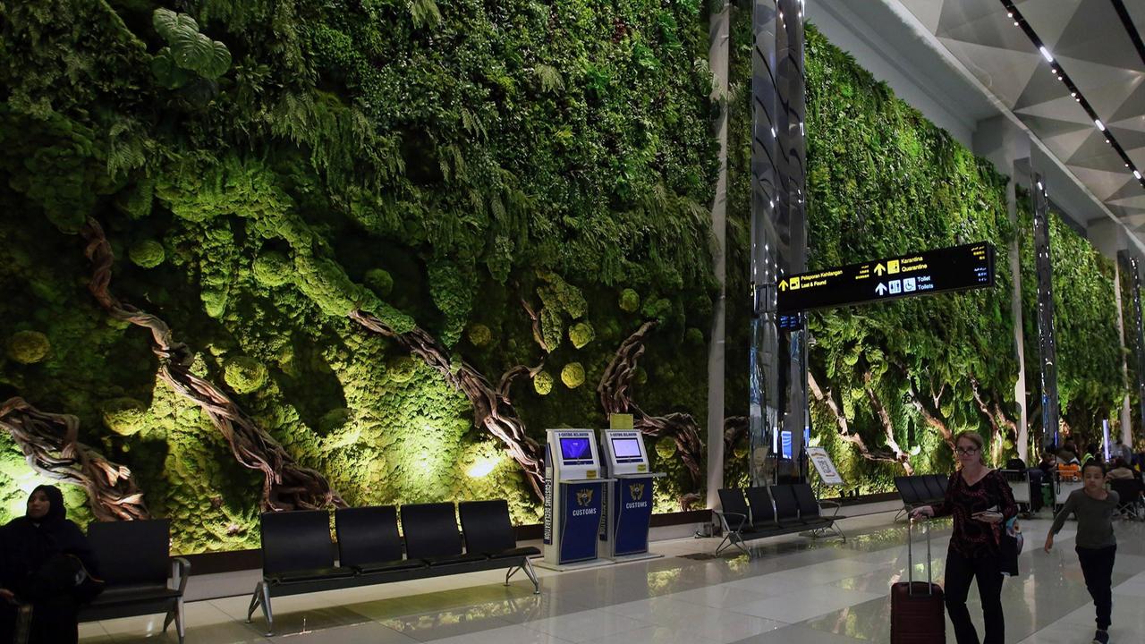 Rimbunnya Hutan Tropis di Bandara Soekarno-Hatta