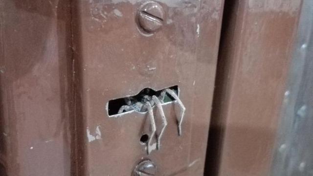 8 Potret Mengerikan Ini Bakal Bikin Bulu Kudukmu Berdiri