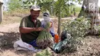 Cuaca tak menentu membuat hasil panen petani bawang merah di Brebes buruk. Akibatnya mereka hanya bisa menjualnya dengan harga murah.