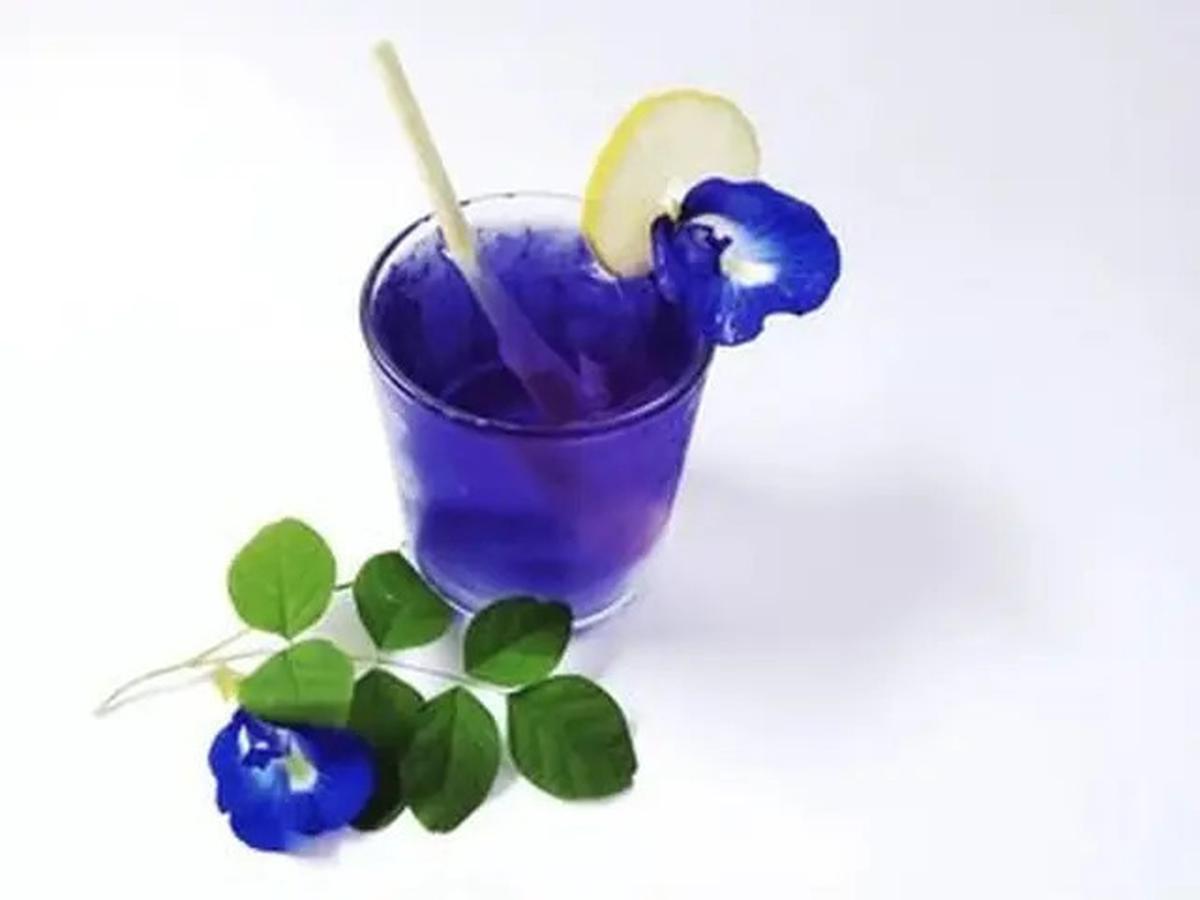 Resep Minuman Bunga Telang untuk Kesehatan yang Mudah Dibuat di Rumah