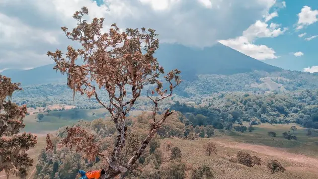 Gunung Kondo di Taman Nasional Gunung Rinjani