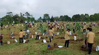 KLH Rintis Arboretum di Puncak Bogor demi Pulihkan Hulu DAS Ciliwung, Dimulai dari Tanam 350 Bibit Pohon Endemik