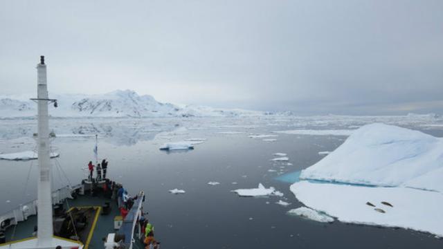 Traveling ke Antartika? Ini Pengalaman yang Akan Anda Alami