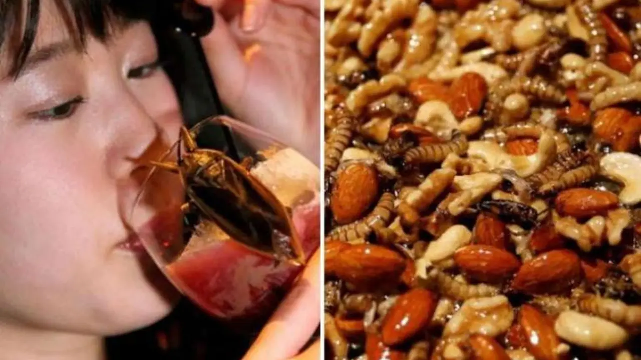 Uji Nyali Pengunjung, Bar Ini Tawarkan Menu dari Serangga