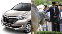 Harga sapi kurban presiden Joko Widodo seharga Toyota Avanza bekas