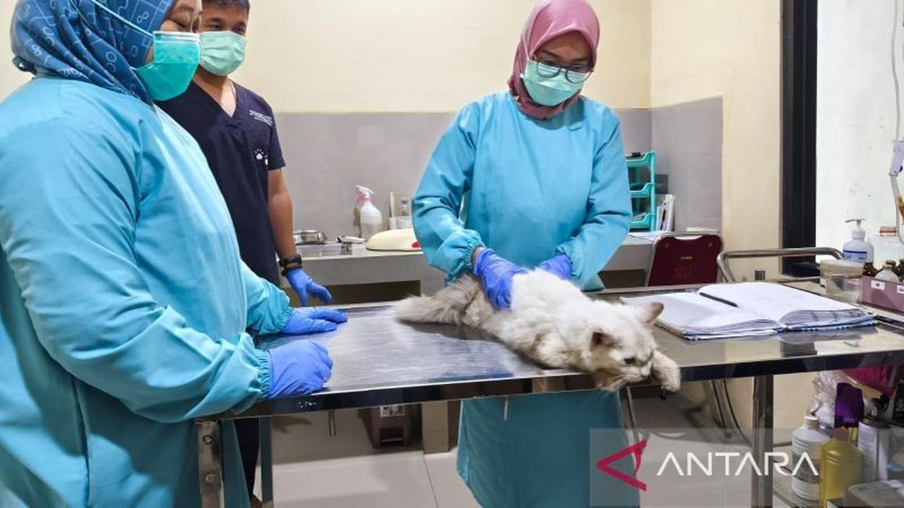 Gencarkan Layanan Puskeswan Cirebon, Pemkot Cegah Penularan Penyakit dari Hewan Peliharaan