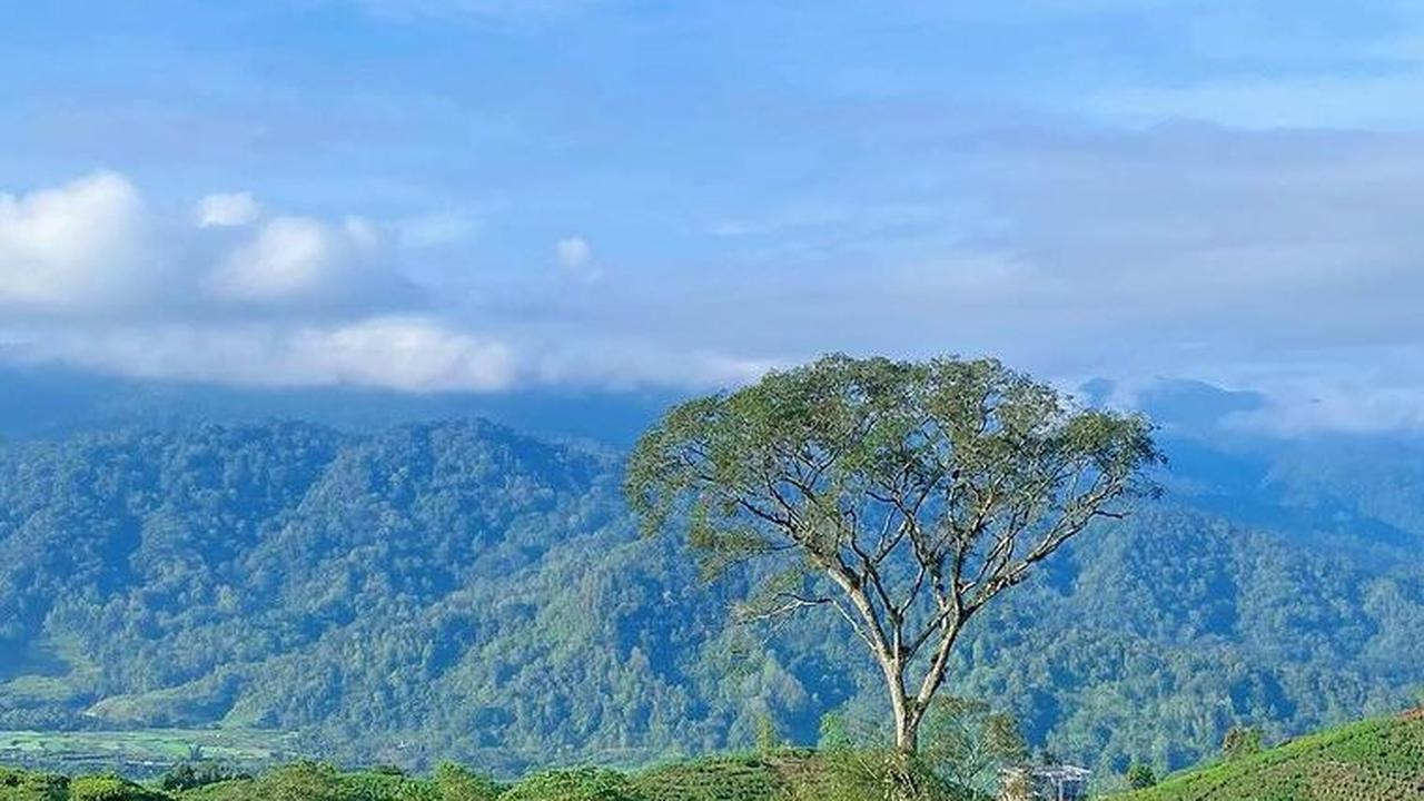 <b>3. Kebun Teh Danau Kembar</b>