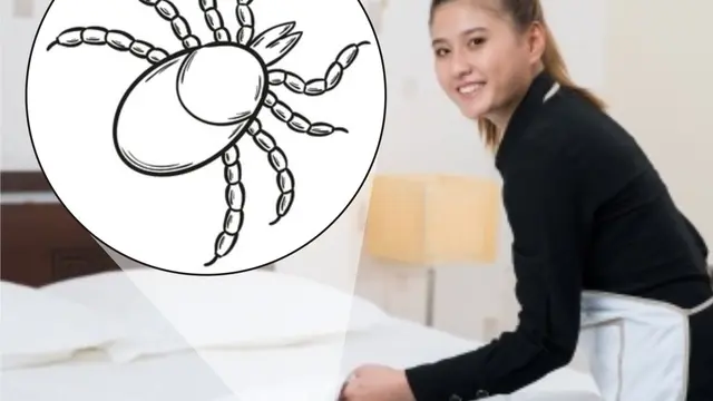 3 Alasan Utama Anda Harus Mengganti Sprei Kasur