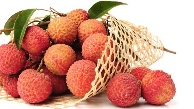 Photo: Copyright Thinkstockphotos.com