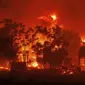 Kebakaran hutan membakar sebuah rumah di desa Avantas, dekat kota Alexandroupolis, di timur laut wilayah Evros, Yunani, Senin, 21 Agustus 2023. (AP Photo/Achilleas Chiras)
