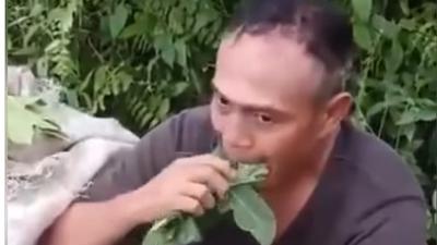 Kronologi Dua Pencuri di Deli Serdang Dipaksa Warga Kunyah Daun Pepaya