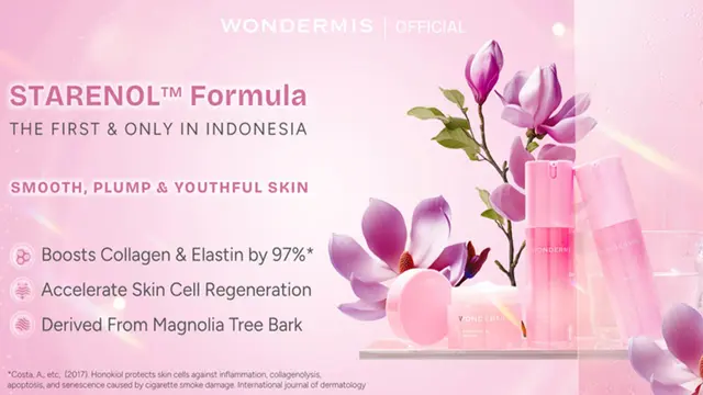 WONDERMIS