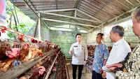 Dukung Program Ketahanan Pangan, Ibas Perkuat Ekosistem Peternakan Desa
