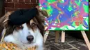 Tak ada target jumlah lukisan yang ditetapkan Lisa kepada Ivy, selama anjingnya bahagia ia bebas menentukan sendiri kapan untuk melukis.  (Instagram/ivykitetheaussie).