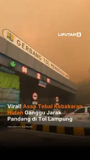 Viral! Asap Tebal Kebakaran Hutan Ganggu Jarak Pandang di Tol Lampung