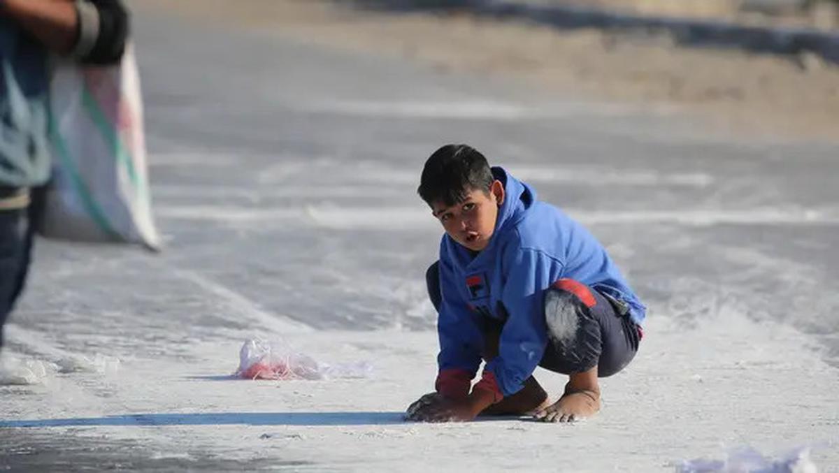 Miris, Anak-anak Pengungsi Palestina Punguti Ceceran Tepung di Jalanan