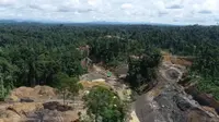 Tambang batu bara ilegal di Kawasan Hutan Dengan Tujuan Khusus (KHDTK) Labanan, Kabupaten Berau, Kalimantan Timur kini semakin dekat dengan sekolah hutan untuk orang utan. Upaya rehabilitasi hewan endemik Kalimantan ini pun terancam.