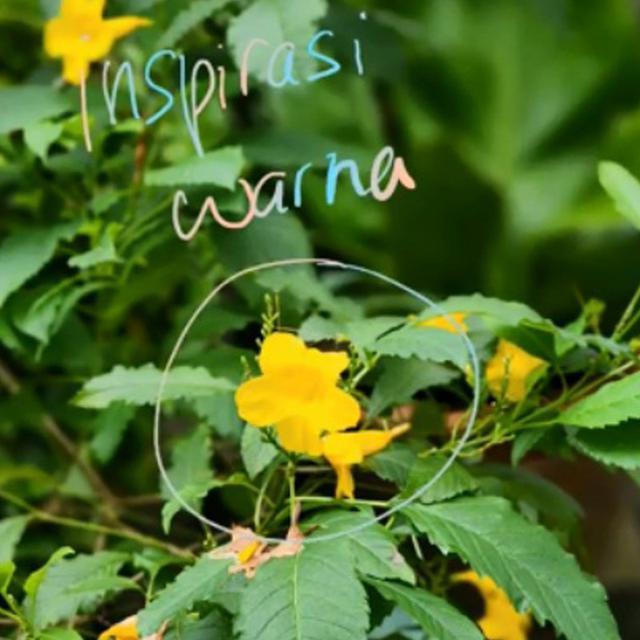 S Pen Galaxy S22 Ultra 5G