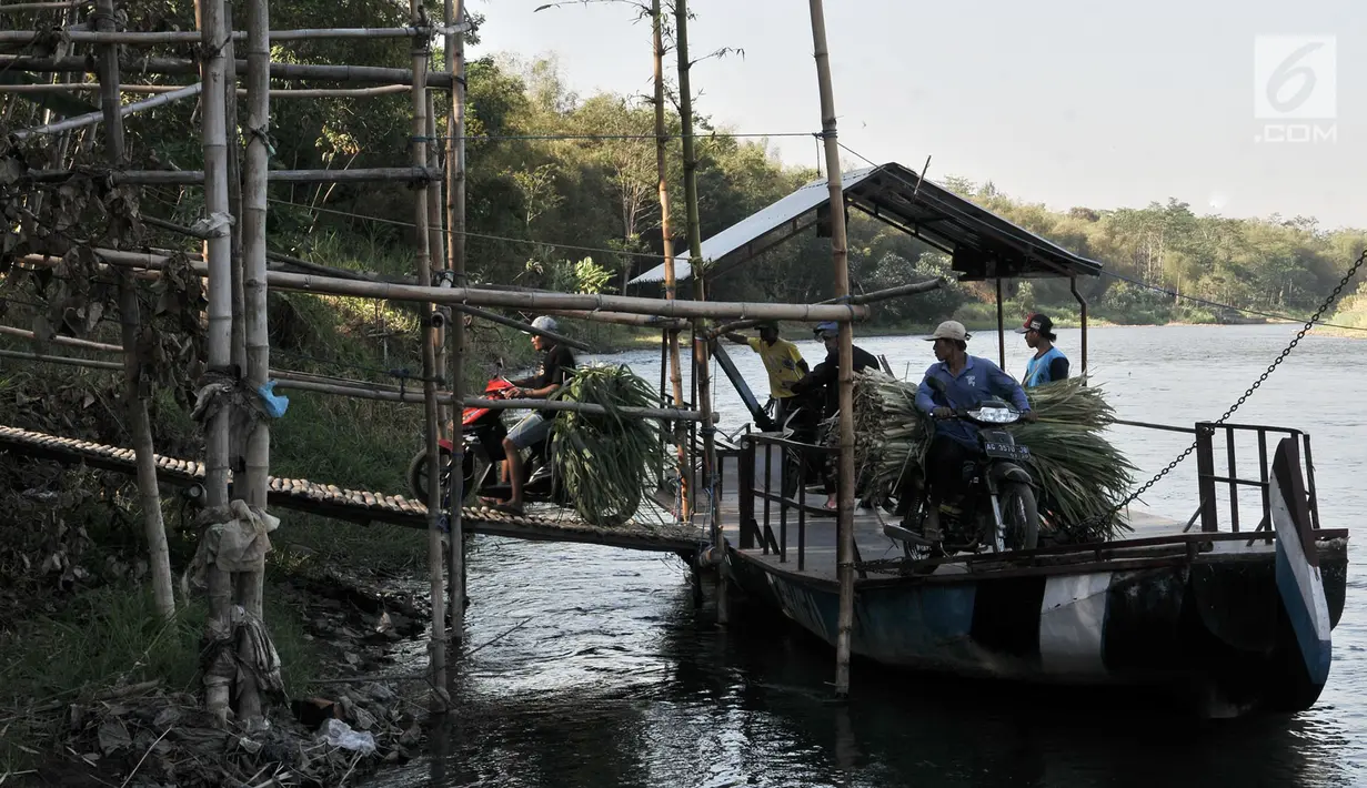 Pengendara sepeda motor membawa pakan ternak saat menyeberangi Sungai Brantas menaiki perahu eretan di Desa Mayan, Mojo, Kediri, Sabtu (29/9). Meski sudah ada jembatan, warga memilih perahu eretan sebagai penunjang aktivitas. (Merdeka.com/Iqbal Nugroho)