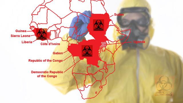 Wabah Ebola Serang Kongo, Risiko Penyebarannya Tinggi (CASTALDOstudio com/Shutterstock)
