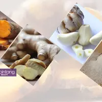 Bumbu dapur yang bermanfaat untuk kecantikan. (Sumber foto: Deki Prayoga/Bintang.com, Digital Imaging: Nurman Abdul Hakim/Bintang.com)