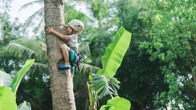 Opsi Isi Liburan Sekolah Anak dengan Belajar Lingkungan di Bali dan Labuan Bajo