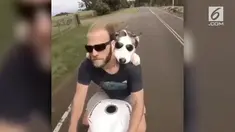 Dengan menggunakan kacamata, seekor anjing terlihat keren asyik menumpang motor tunggangan majikannya.