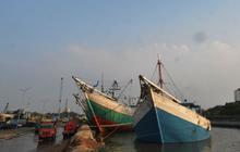 Ternyata, Ini Penyebab Ikan Indonesia Susah Masuk Pasar Uni Eropa
