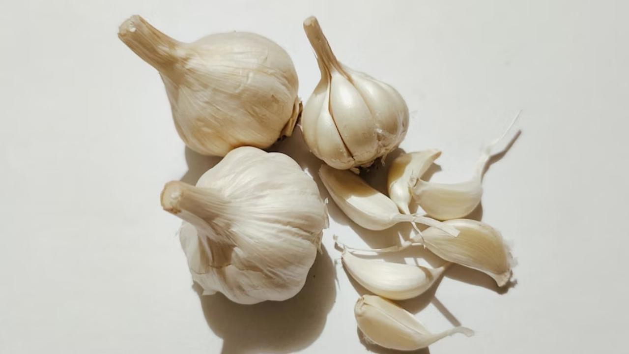 Ilustrasi Bawang Putih