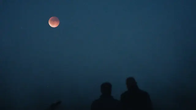 Ilustrasi Melihat Bulan