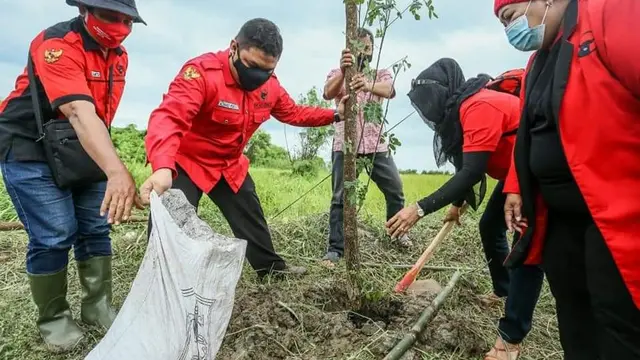Rayakan ulang tahun Megawati, PDIP Surabaya tanam ratusan pohon (Liputan6.com/Istimewa)