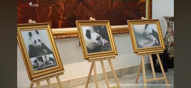 Keajaiban Biologis dan Harapan Masa Depan