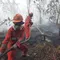 Atasi Kebakaran Hutan Kalimantan, Modifikasi Cuaca Dioptimalkan