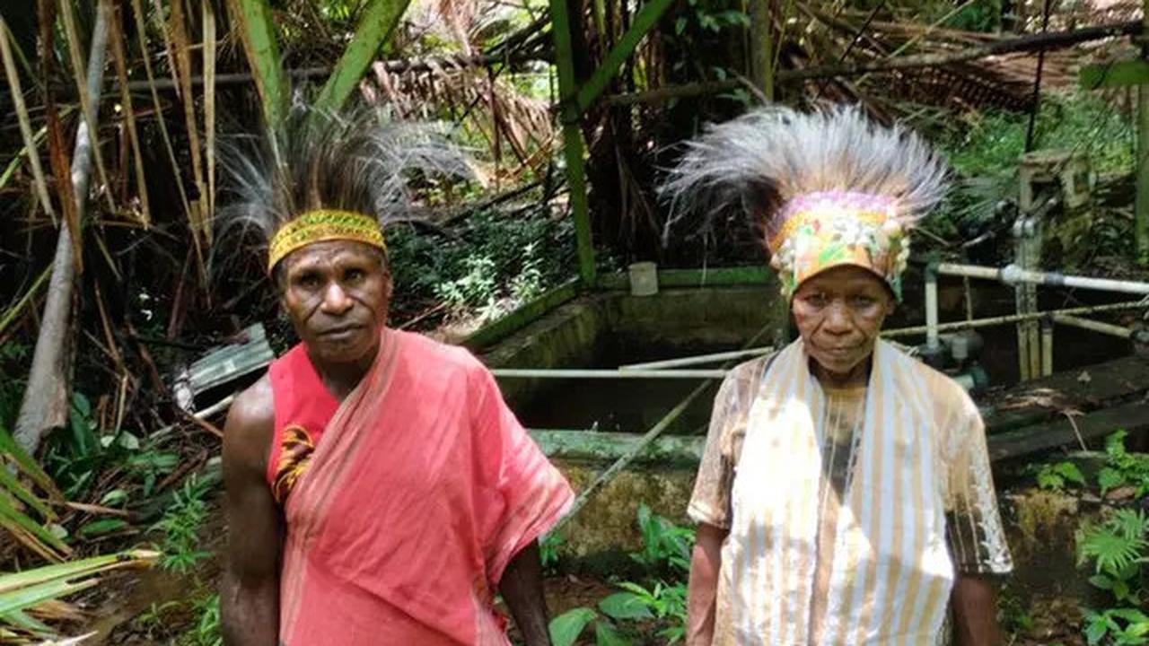 Menhut Bentuk Tim Percepatan Penetapan Hutan Adat, Diisi Akademisi hingga LSM