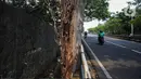Sejumlah kendaraan melintas di samping pepohonan yang tertanam di beberapa ruas jalan di Jakarta, Rabu (30/4/2025). (Liputan6.com/Angga Yuniar)