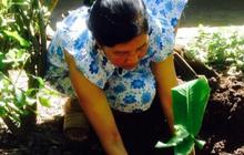 Cacing Tambang dan Cacing Gelang Ternyata Bisa Infeksi Orang Dewasa, Begini Caranya Masuk ke Tubuh