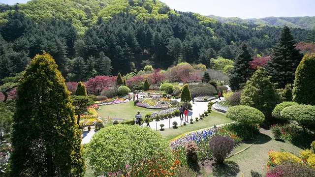 The Garden of Morning Calm