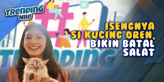 VIDEO: Trending Nih! Tingkah Kucing Oren Bikin Pria Batal Salat