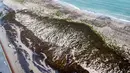 Kondisi ganggang dan rumput laut yang masih tersisa di pantai di resor liburan Travemuende, Jerman Utara, Sabtu, 21 Oktober 2023. (AP Photo/Michael Probst)