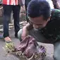 Bunga bangkai berdiameter 50 cm dan tinggi 75 cm itu tumbuh di pekarangan rumah warga milik Uung Mahrudin. (Liputan6.com/Panji Prayitno)