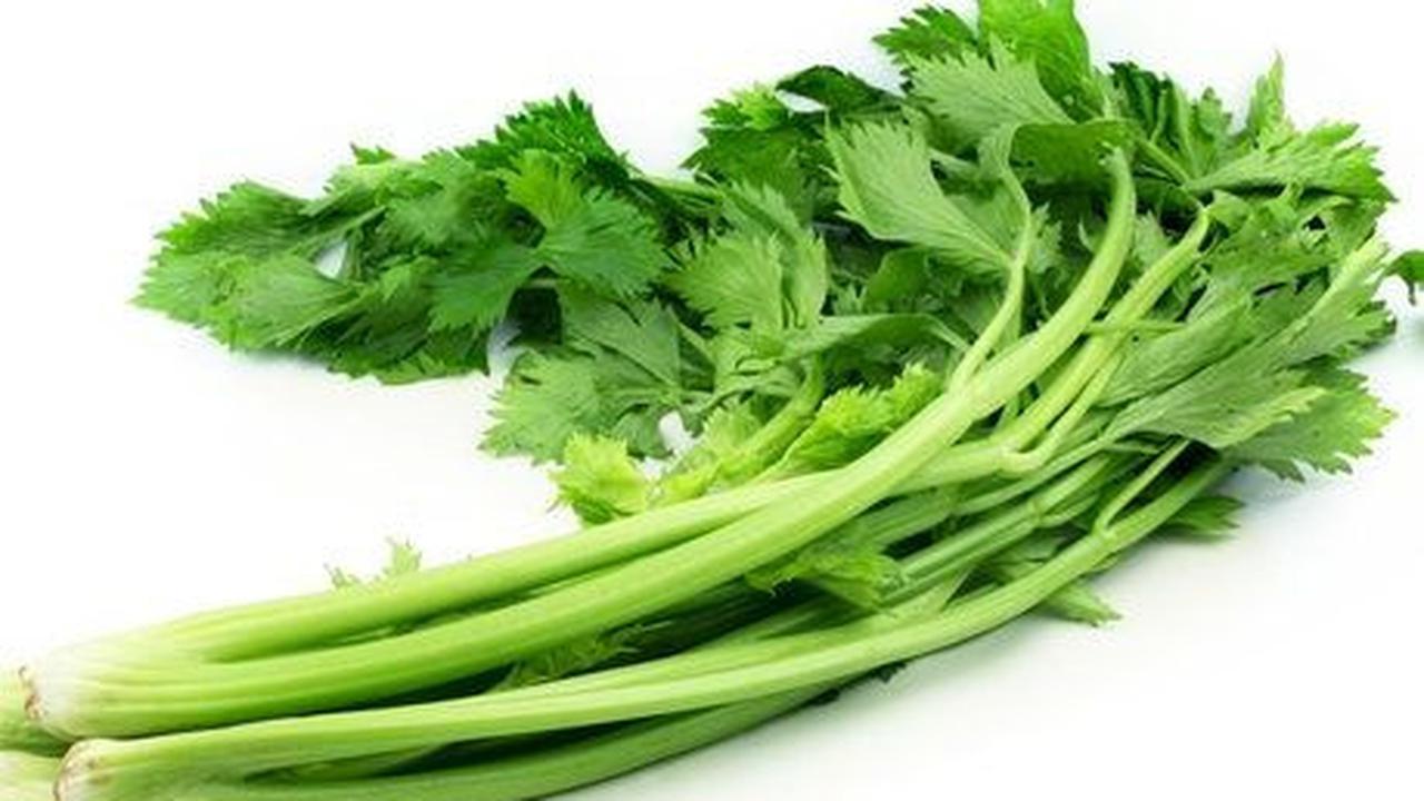 Namun, tahukah kamu bahwa daun-daunan aromatik juga memiliki peran penting dalam memberikan aroma yang khas dan meningkatkan kenikmatan makanan?
