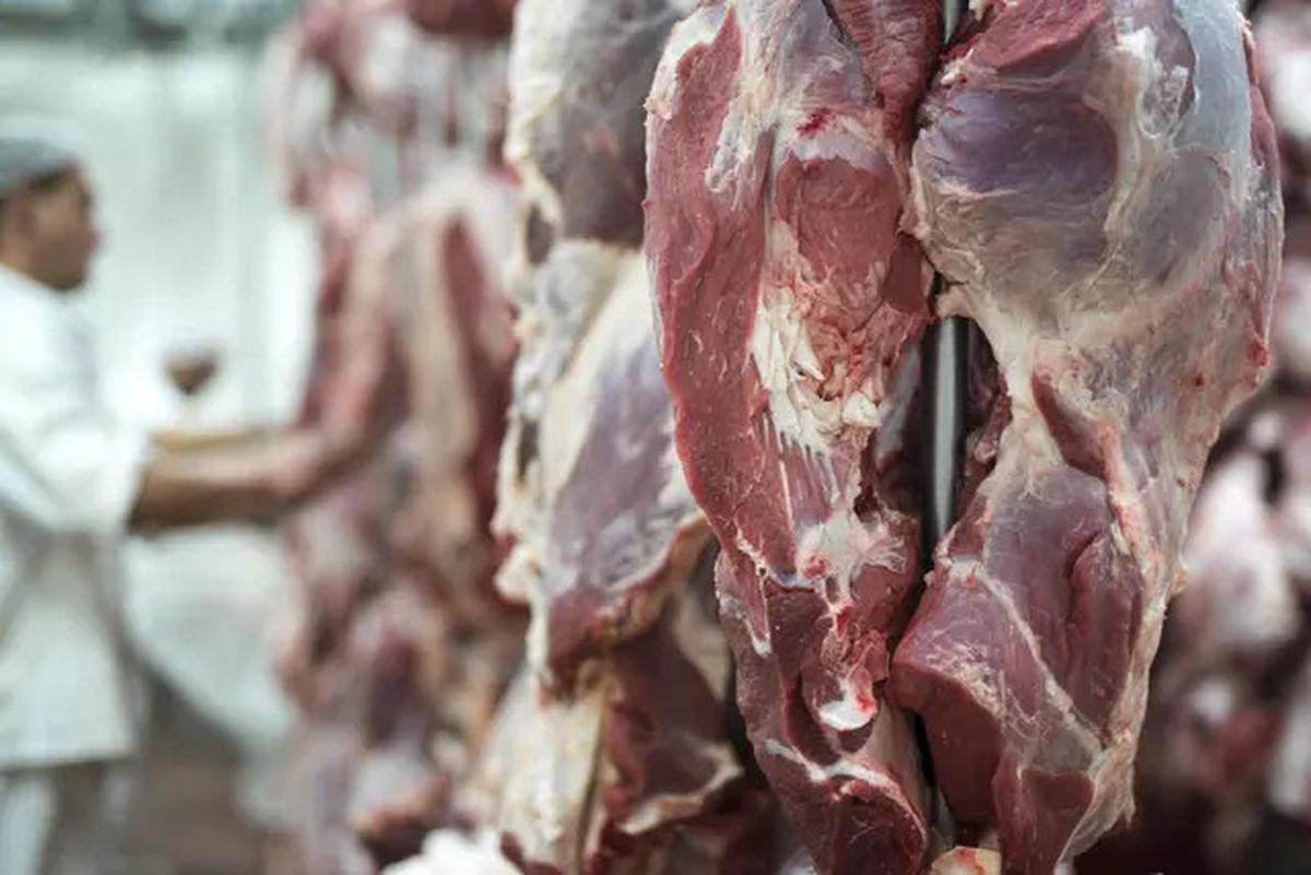 Cara Lengkap Menyimpan Daging Mentah Agar Tetap Segar dan Awet