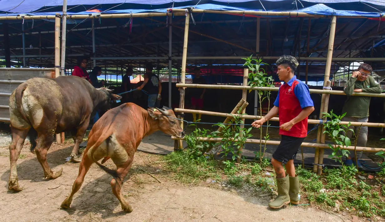 Sebagai informasi, Hari Raya Idul Adha 1446 Hijriah atau Hari Raya Kurban akan jatuh pada 6 Juni 2025. (merdeka.com/Arie Basuki)