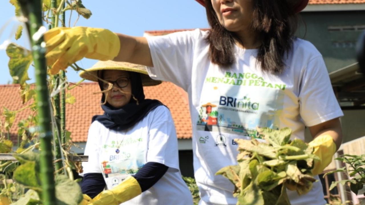 Dukung Pemberdayaan Wanita & Keseimbangan Lingkungan, BRI Raih Penghargaan Merdeka Award 2024