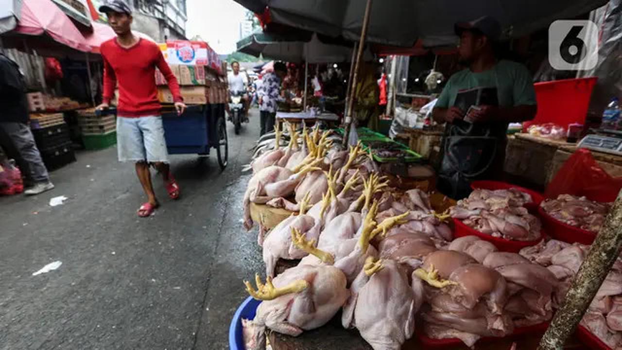 Rincian Harga Ayam 1 Kilogram Terbaru April 2025, Ketahui Sebelum Berbelanja