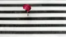 Seorang wanita berjalan di penyeberangan pejalan kaki di tengah hujan di Tokyo, Rabu, (23/9/2020). Badai tropis di Samudra Pasifik perlahan mendekati wilayah Tokyo pada hari Rabu, dan para pejabat mendesak penduduk berhati-hati dari perkiraan hujan lebat dan hembusan angin. (AP Photo/Eugene Hoshiko)