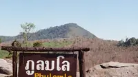 6 Fakta Menarik Gunung Phu Lom Lo di Thailand, Terkenal dengan Bunga Sakura Liar Himalaya